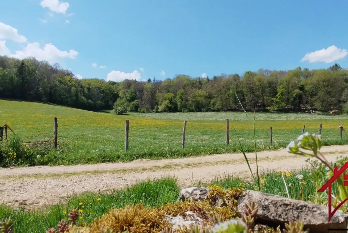 Maison en pierres de 127 m² avec 4 chambres à Giey-sur-Aujon, parfait état 