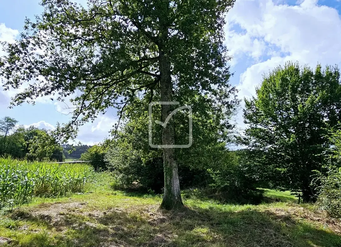 Terrain à bâtir de 4350 m² à Ussac - Opportunité rare en centre-ville 
