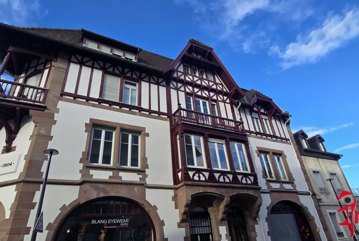 Appartement haussmannien de 172 m² à Mulhouse-Dornach avec garage et cour 
