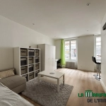 Studio meublé de 25,38 m² rénové à Saint-Etienne, secteur Faculte Jean Monnet