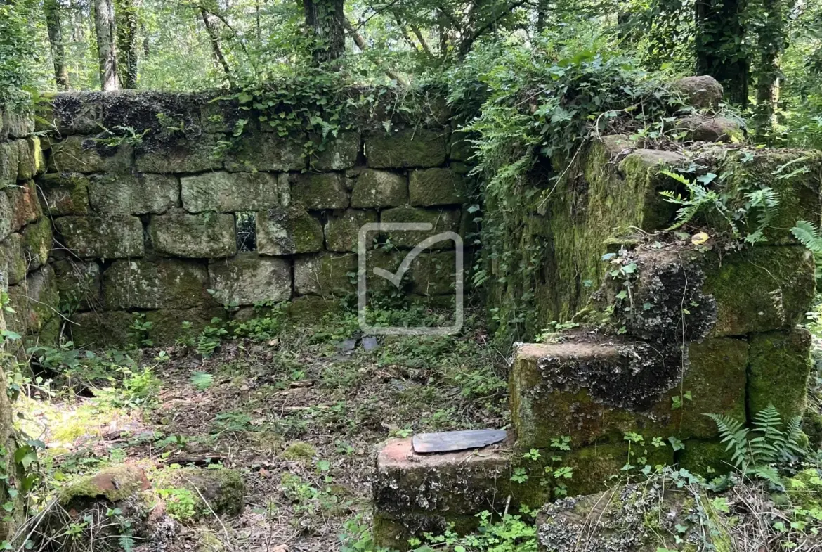 Terrain à vendre à Objat - 1,3 hectare en zone naturelle avec ruine et source 
