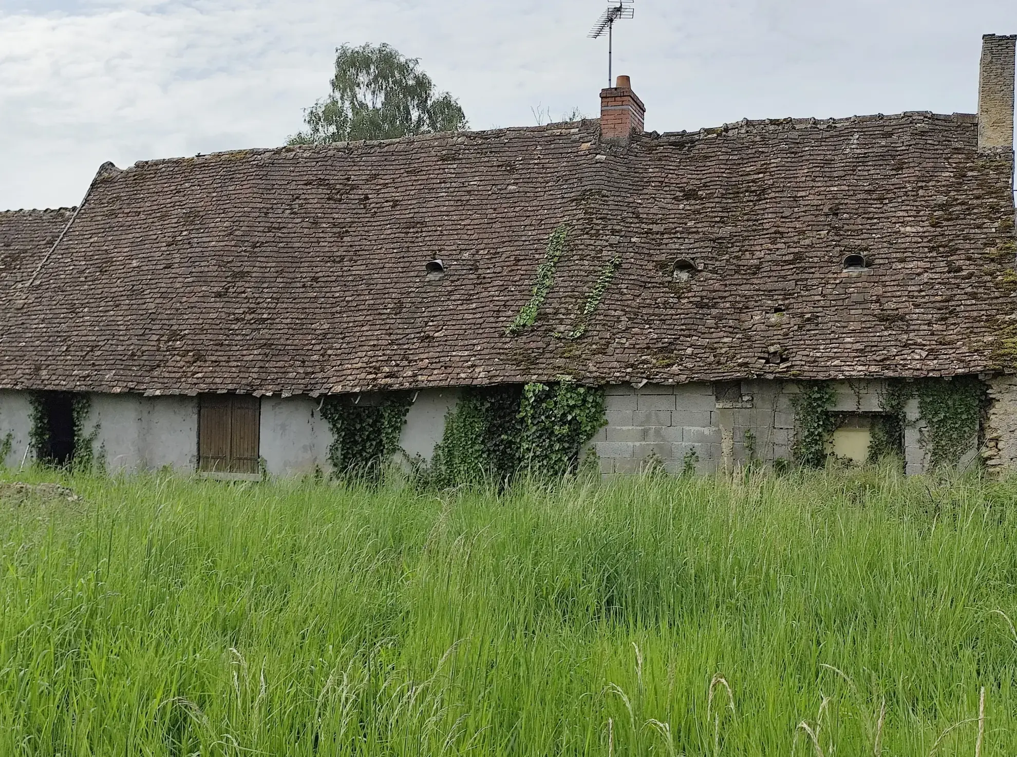 Maison à rénover de 69 m² à Dangeul – Terrain de 1292 m², projet immobilier 