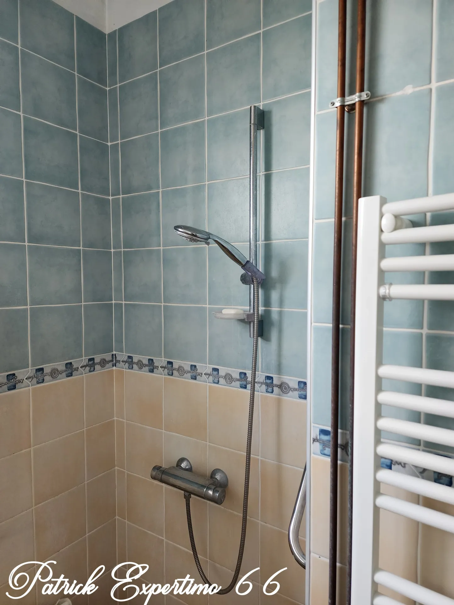 Maison à Perpignan de 115 m² avec piscine, jardin et grand garage - Opportunité d'investissement 