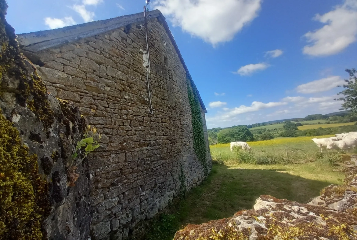 Fermette authentique à Lurcy-le-Bourg avec potentiel et vue panoramique 