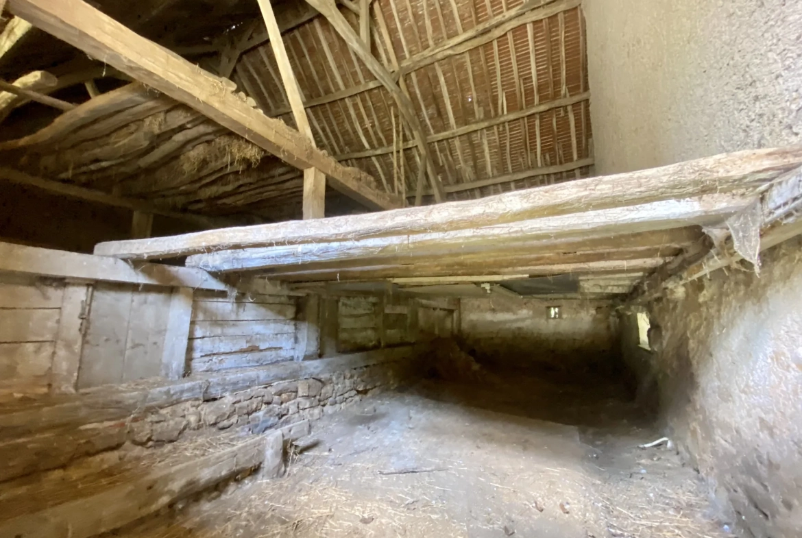 Fermette authentique à Lurcy-le-Bourg avec potentiel et vue panoramique 