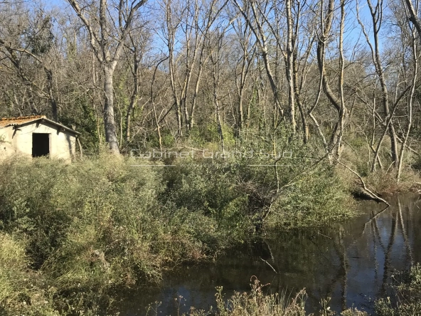 Terrain de loisir de 1488 m² avec mazette à Mauguio, proche de l'étang de l'Or