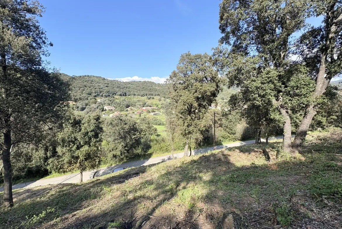 Terrain constructible de 2 100 m² à Casaglione près des plages 