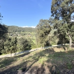 Terrain constructible de 2 100 m² à Casaglione près des plages