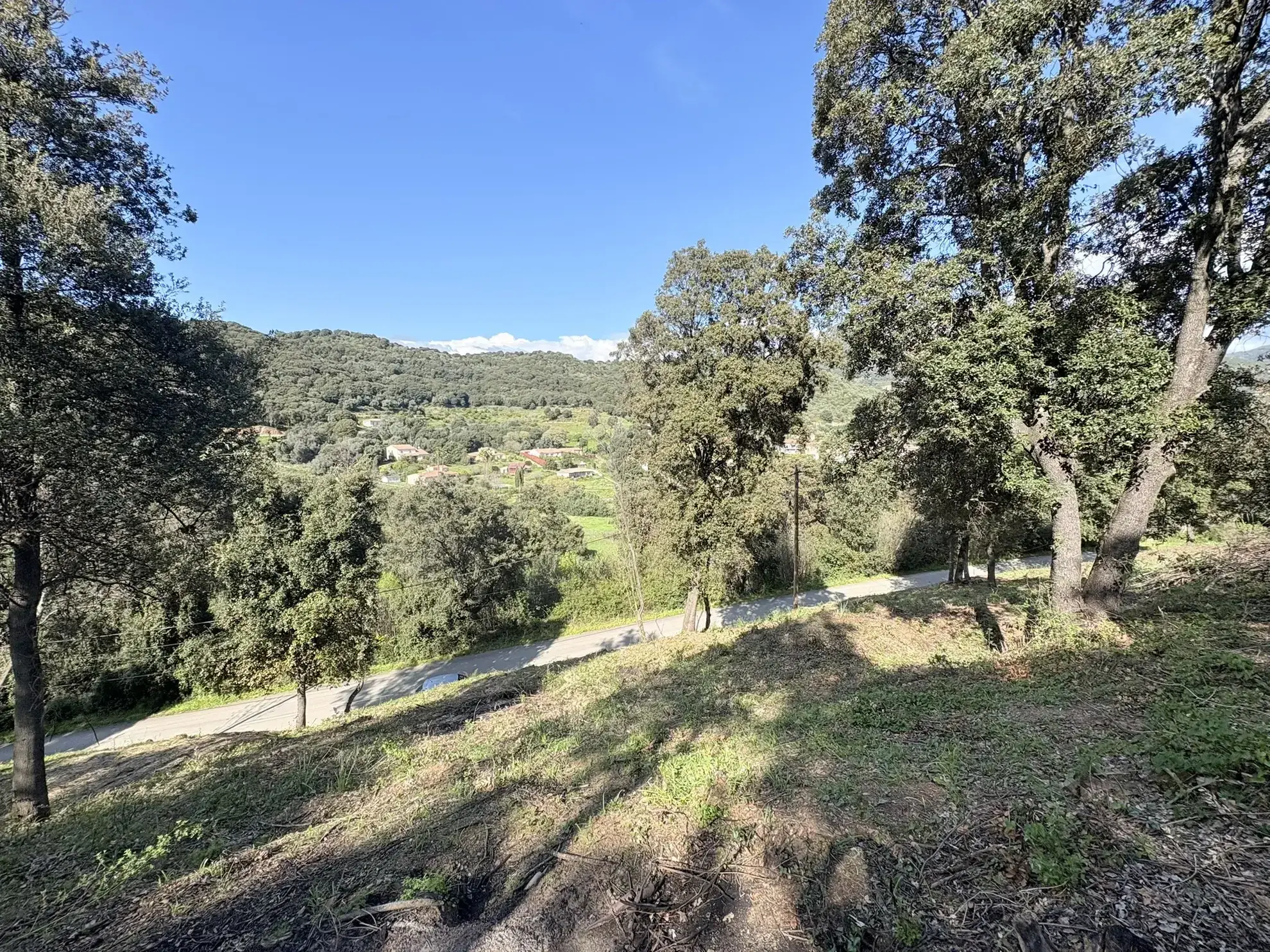 Terrain constructible de 2 100 m² à Casaglione près des plages 