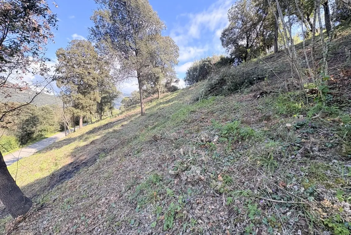 Terrain constructible de 2 100 m² à Casaglione près des plages 