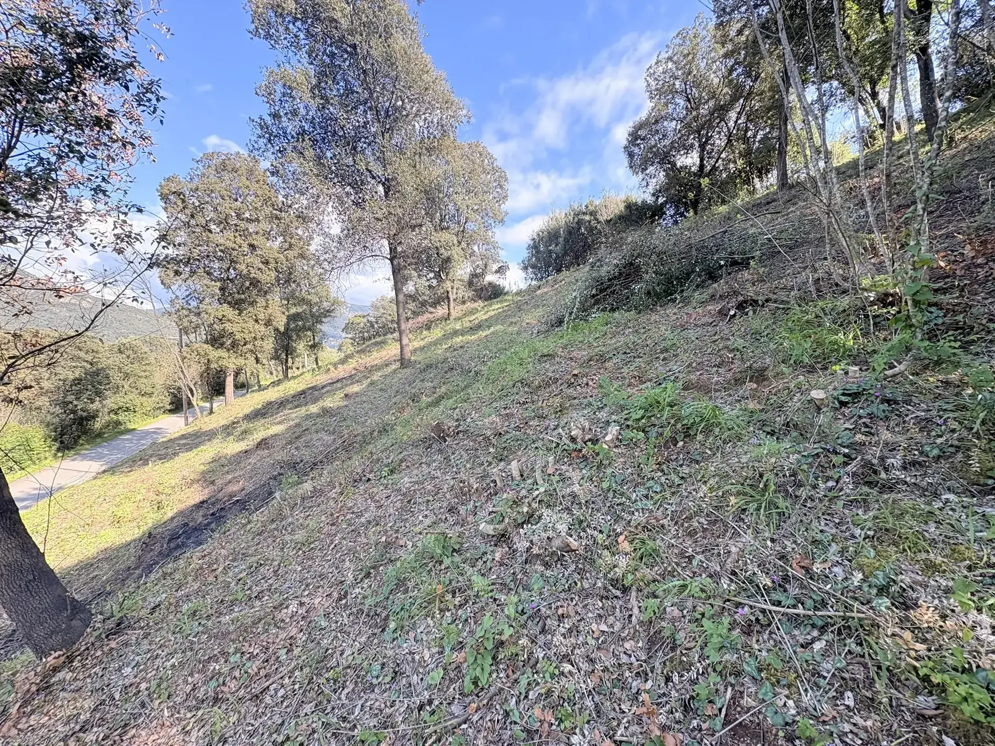 Terrain constructible de 2 100 m² à Casaglione près des plages 