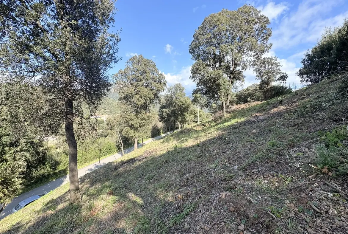 Terrain constructible de 2 100 m² à Casaglione près des plages 