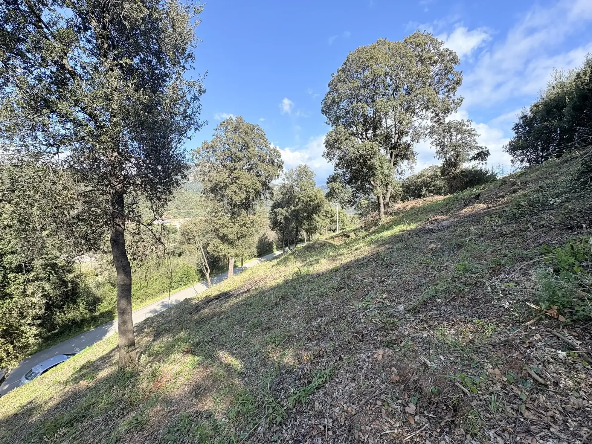 Terrain constructible de 2 100 m² à Casaglione près des plages 