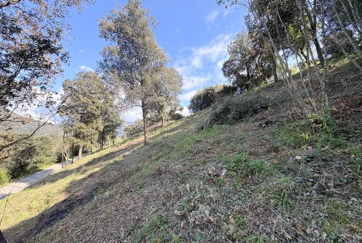 Terrain constructible de 2 100 m² à Casaglione près des plages 