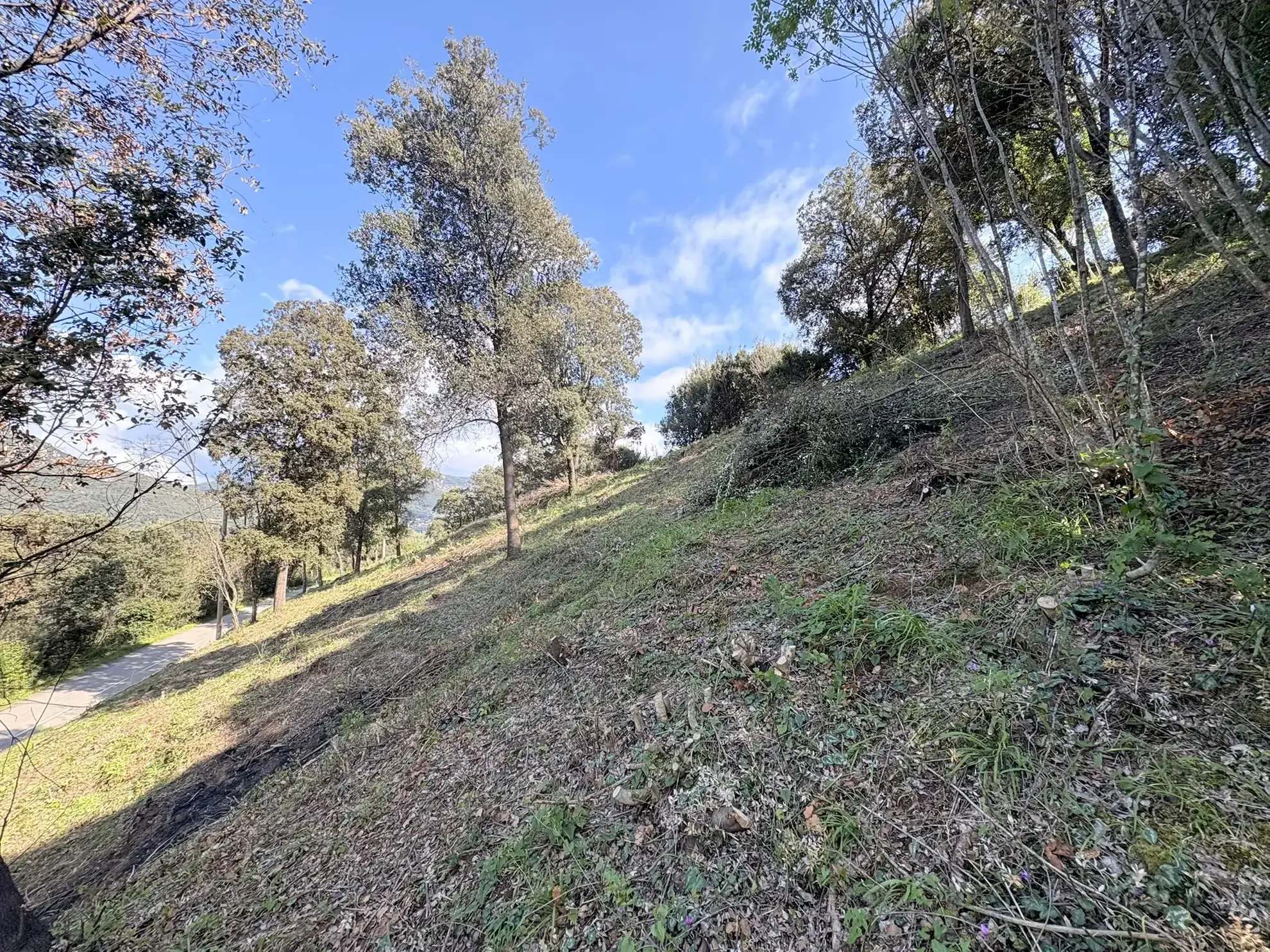 Terrain constructible de 2 100 m² à Casaglione près des plages 