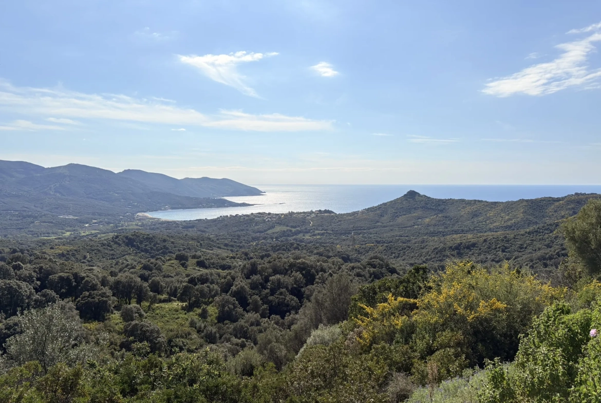Terrain constructible de 2 100 m² à Casaglione près des plages 