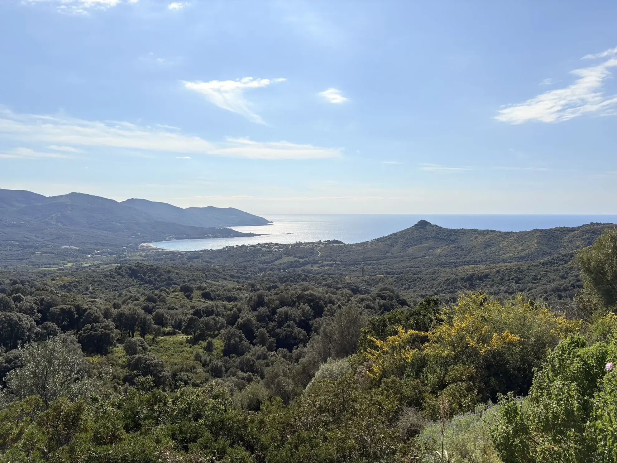 Terrain constructible de 2 100 m² à Casaglione près des plages 