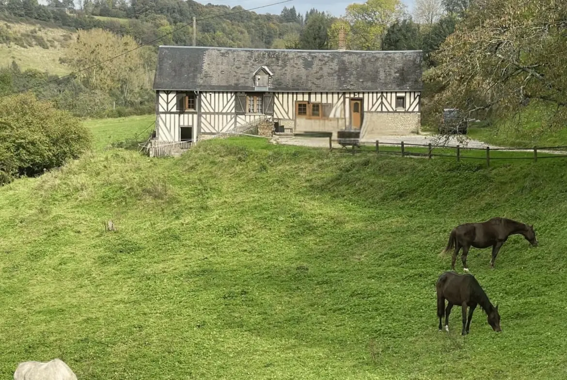 Spacieuse maison normande avec grand terrain à Vimoutiers 