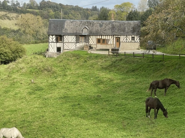Spacieuse maison normande avec grand terrain à Vimoutiers