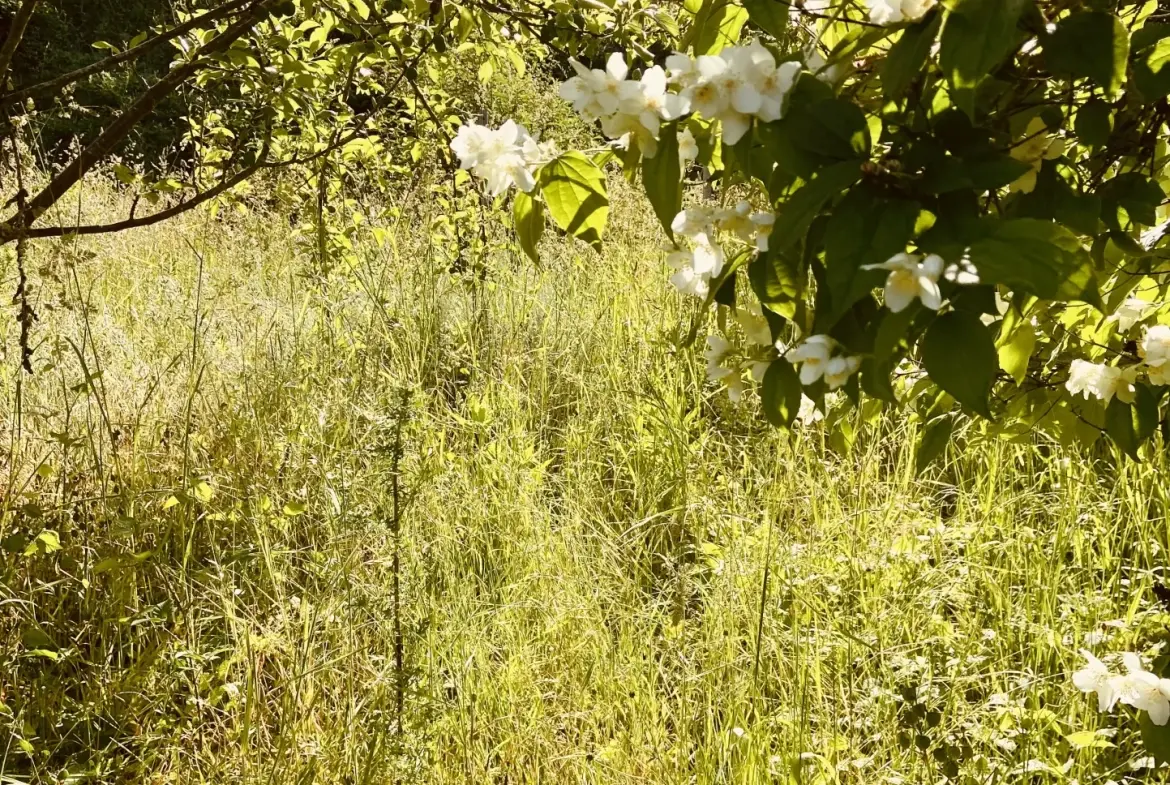Longère à vendre dans la vallée du Loir, proche Montoire, avec jardin et caves, à rénover, 74 m² 