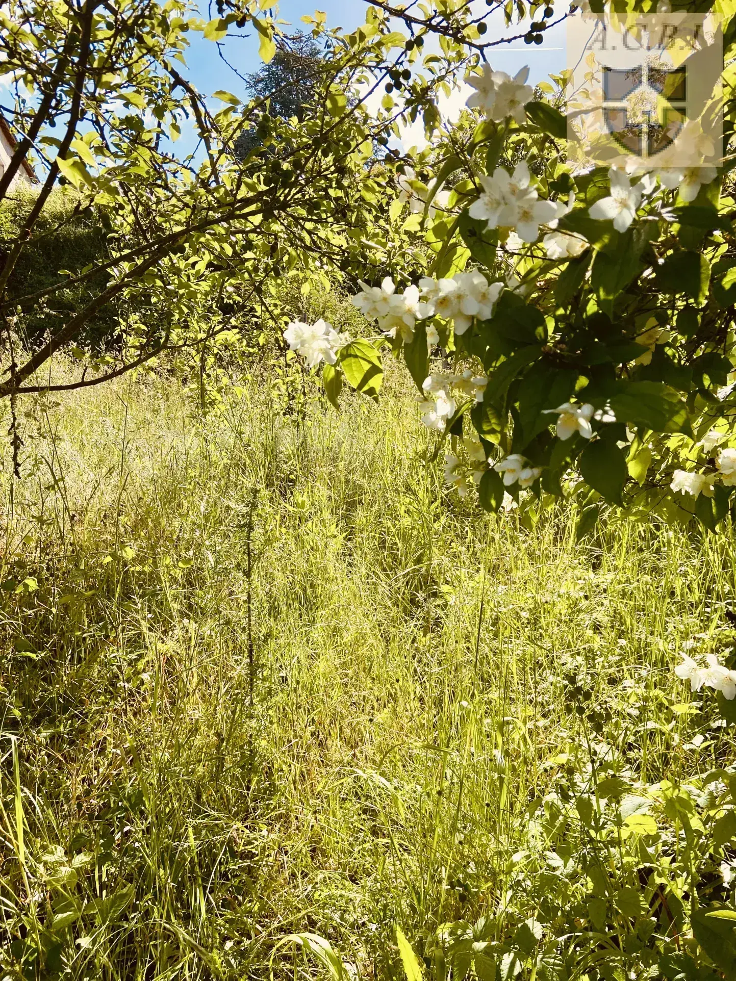 Longère à vendre dans la vallée du Loir, proche Montoire, avec jardin et caves, à rénover, 74 m² 