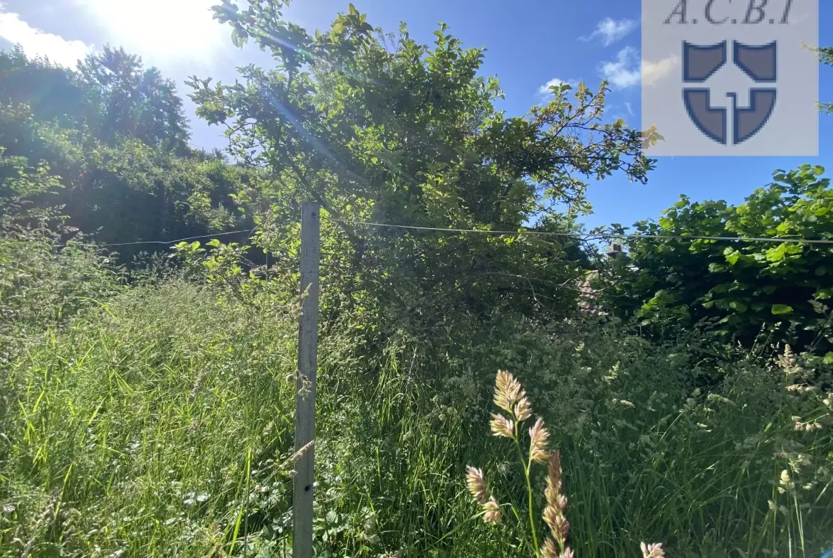 Longère à vendre dans la vallée du Loir, proche Montoire, avec jardin et caves, à rénover, 74 m² 