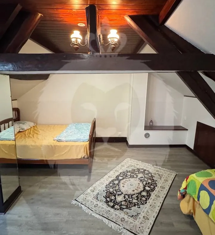 Charmante maison à Balloy avec grand terrain et dépendances, idéal pour coup de cœur 