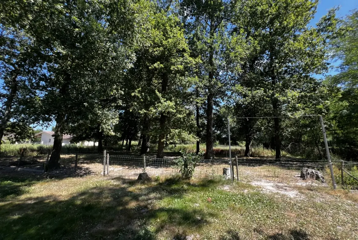 Maison 3 chambres avec grand terrain arboré à Langon 