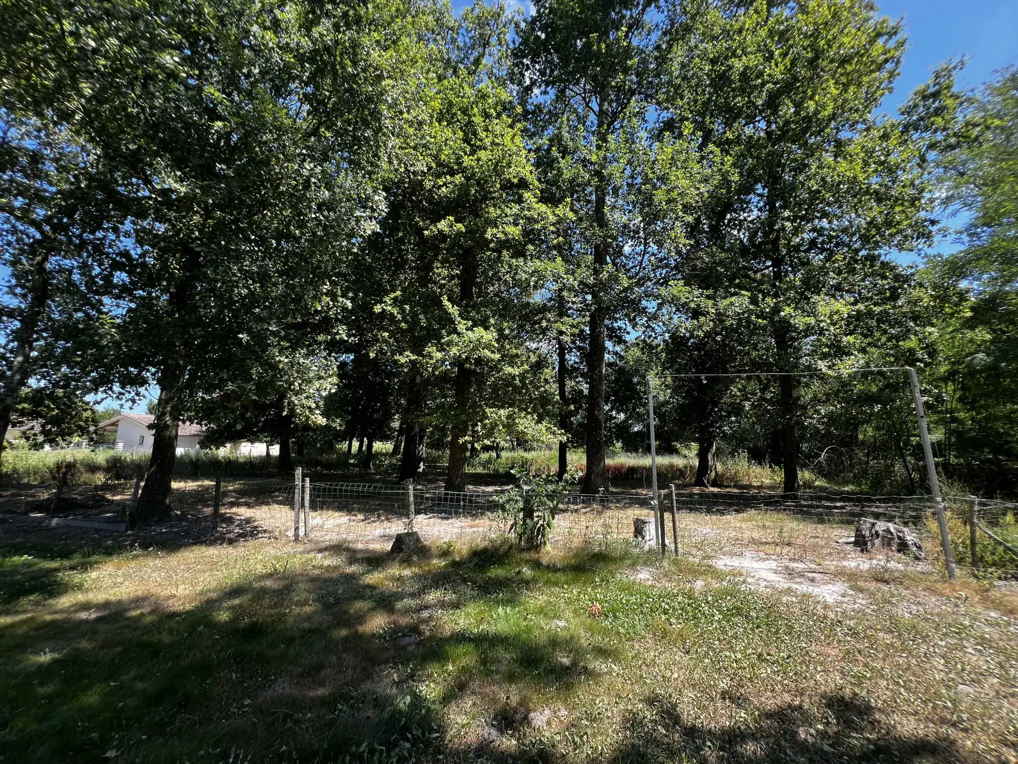 Maison 3 chambres avec grand terrain arboré à Langon 