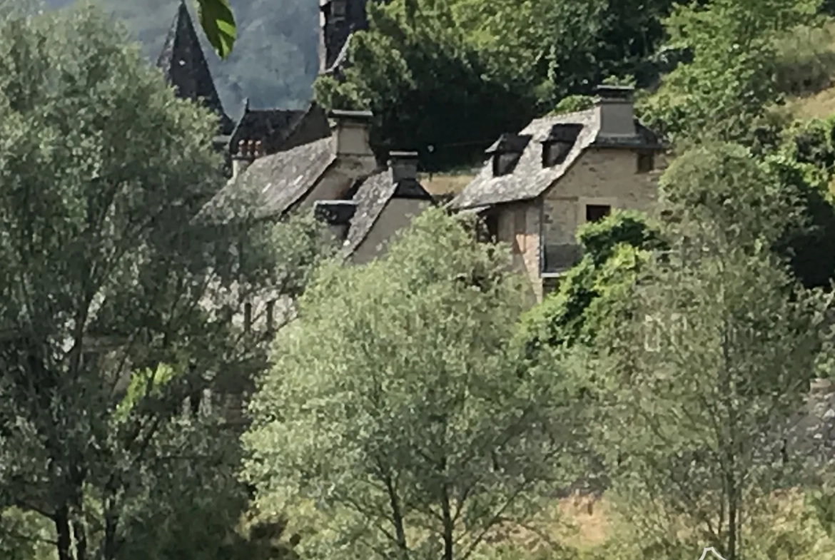 Maison de village rénovée avec vue sur le Lot à Vieillevie (15120) 