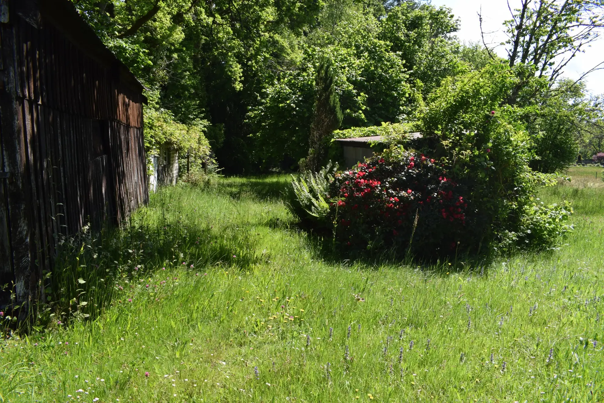 Maison en pierre à Saint-Privat avec grand terrain et potentiel d'aménagement 