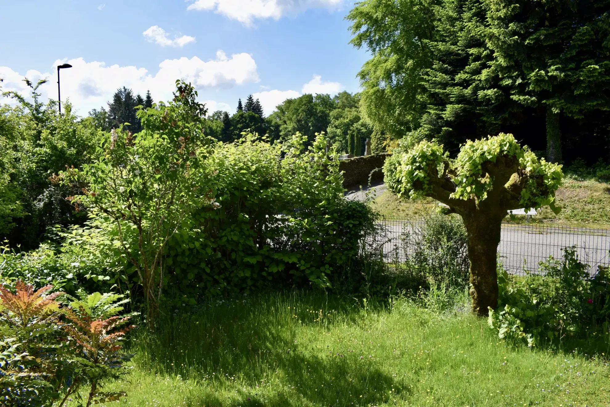 Maison en pierre à Saint-Privat avec grand terrain et potentiel d'aménagement 