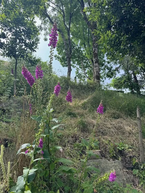 Terrain à bâtir avec vue sur la rivière à Château-Guibert 