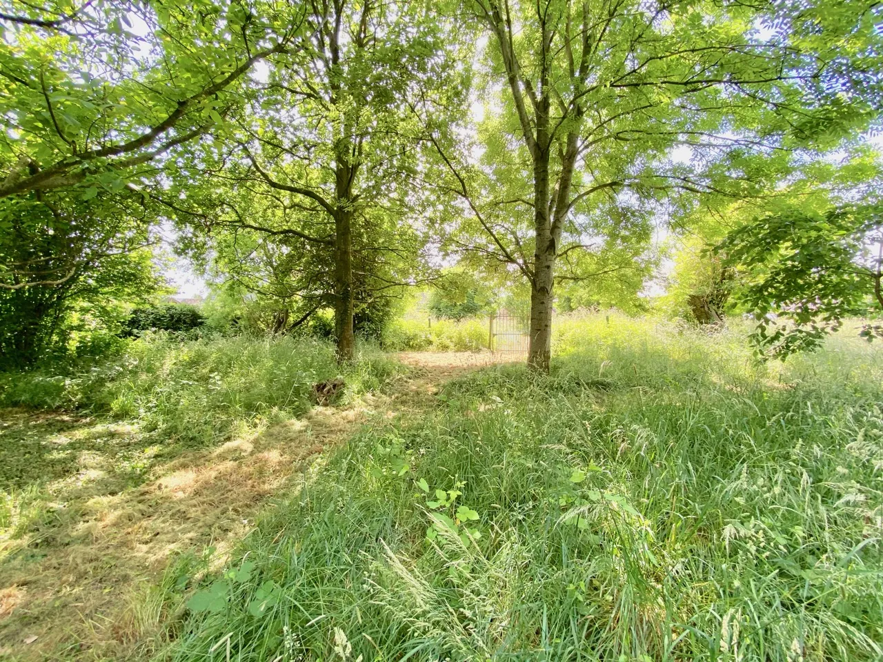 Fermette en pierre avec grande grange et terrain à Aibes, proche frontière 