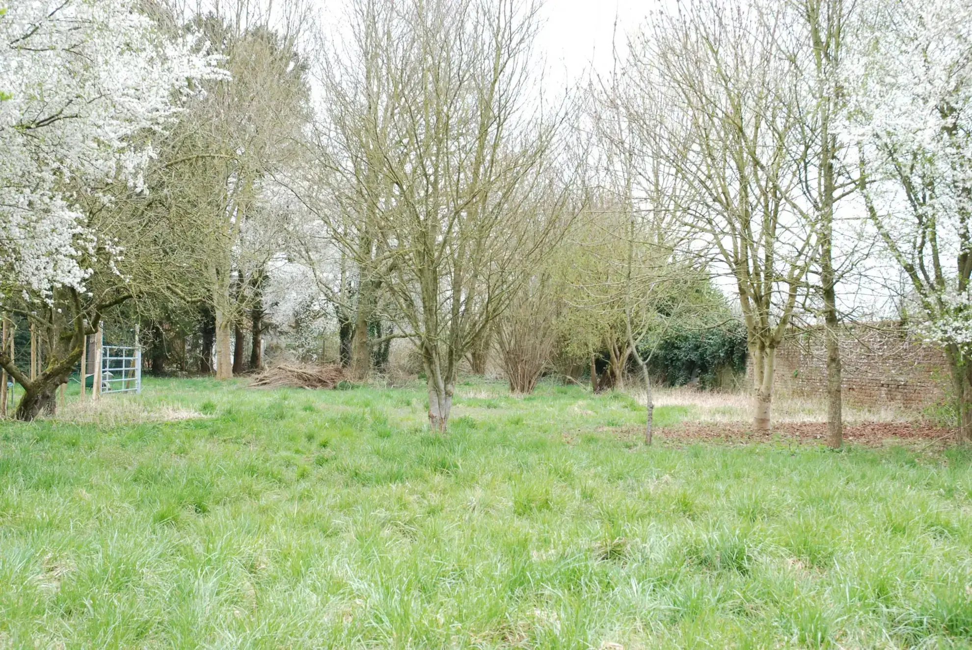 Fermette en pierre avec grande grange et terrain à Aibes, proche frontière 