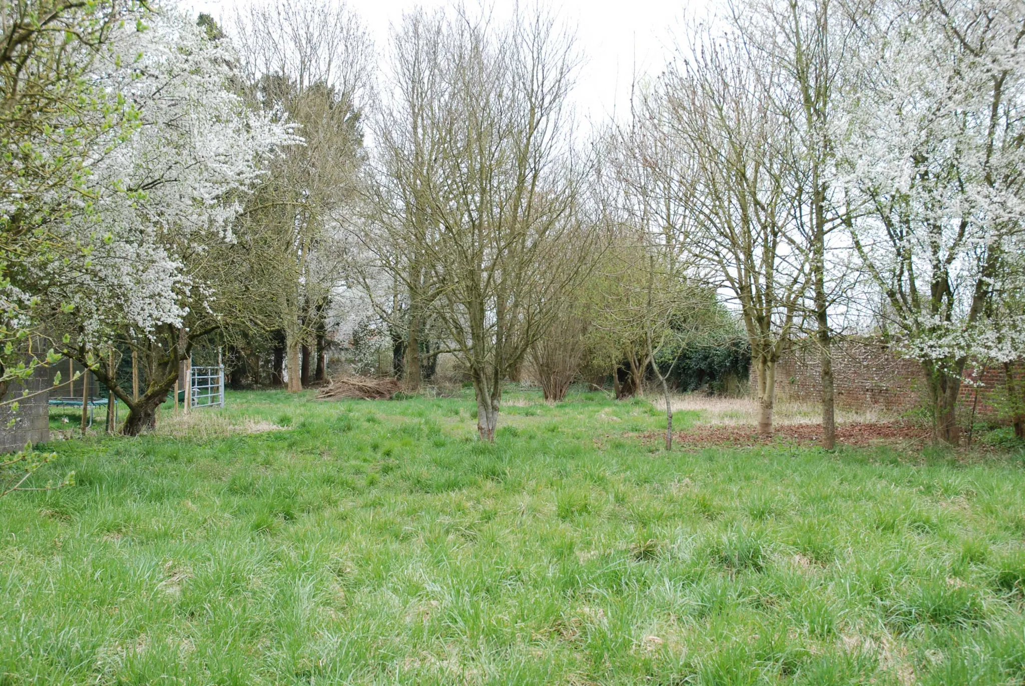 Fermette en pierre avec grande grange et terrain à Aibes, proche frontière 