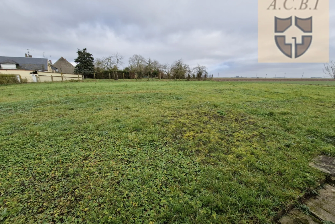 Maison de plain-pied à vendre à Ouzouer le Doyen, 67 m², terrain arboré 