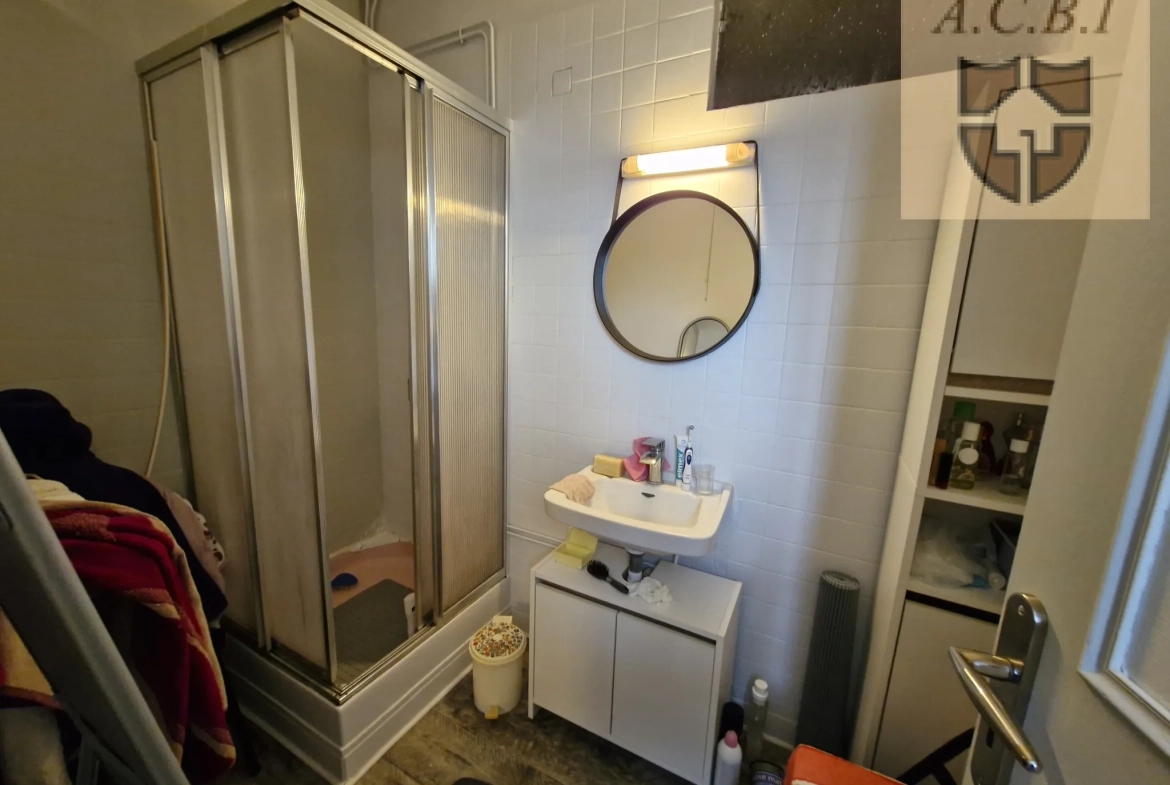 Maison de plain-pied à vendre à Ouzouer le Doyen, 67 m², terrain arboré 
