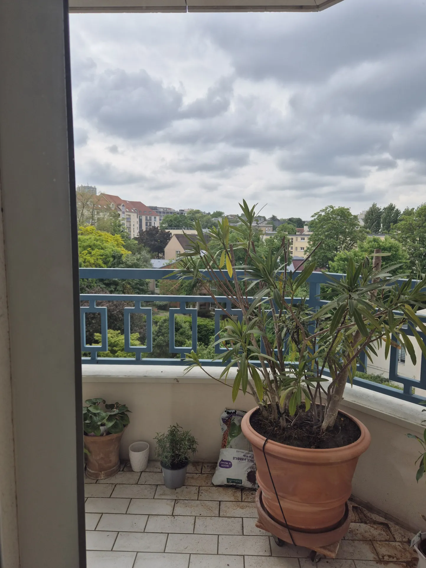 Appartement 2 pièces en résidence senior à Rueil Malmaison – Vue jardin 