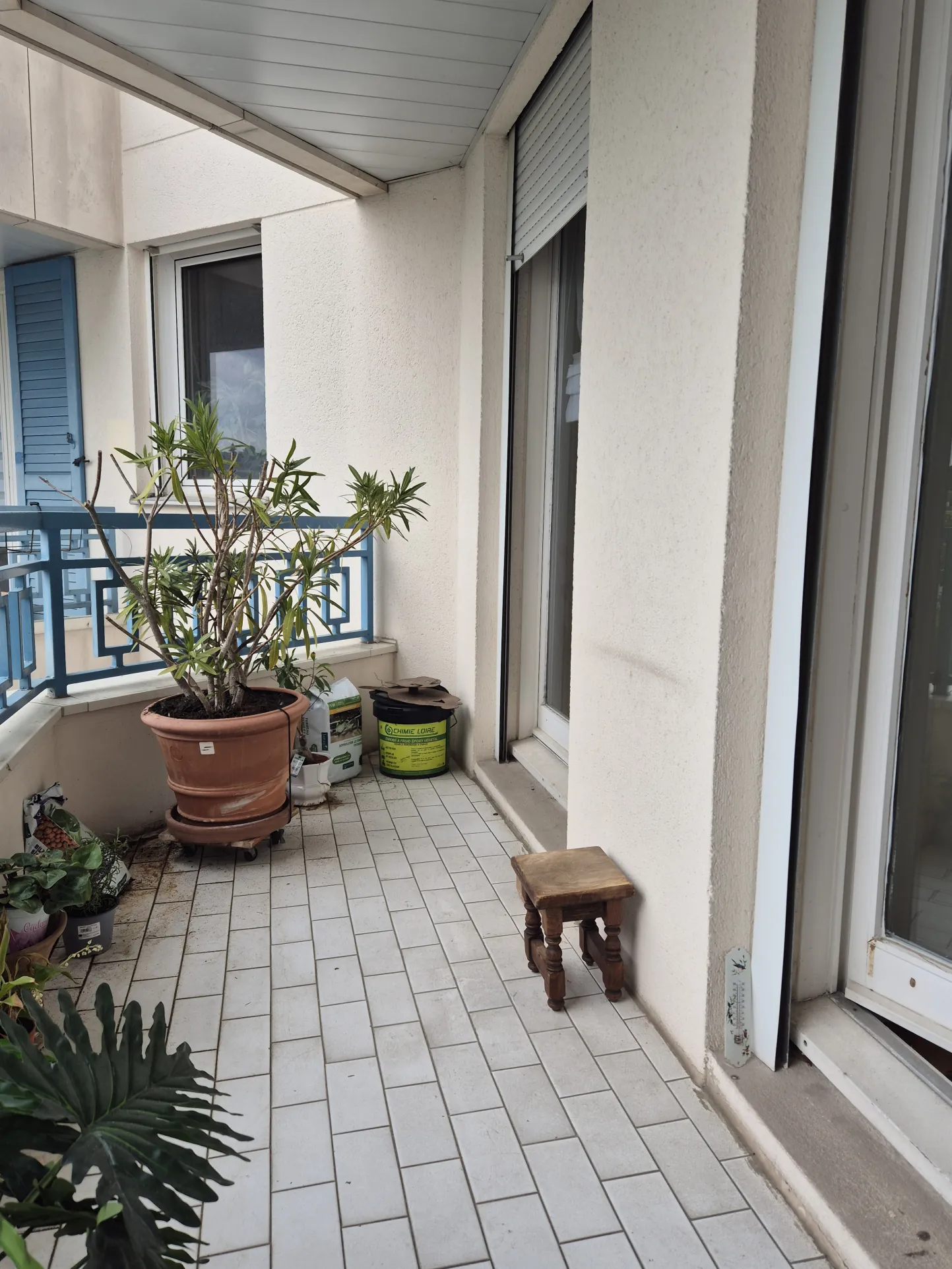 Appartement 2 pièces en résidence senior à Rueil Malmaison – Vue jardin 