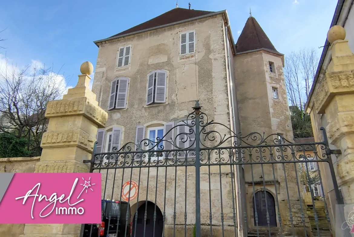 Spacieux appartement avec jardin et dépendances à Gray 