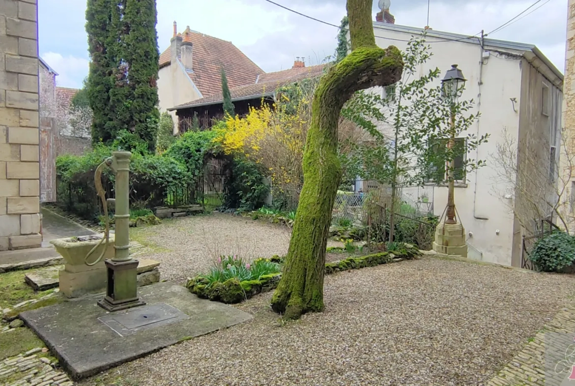 Spacieux appartement avec jardin et dépendances à Gray 