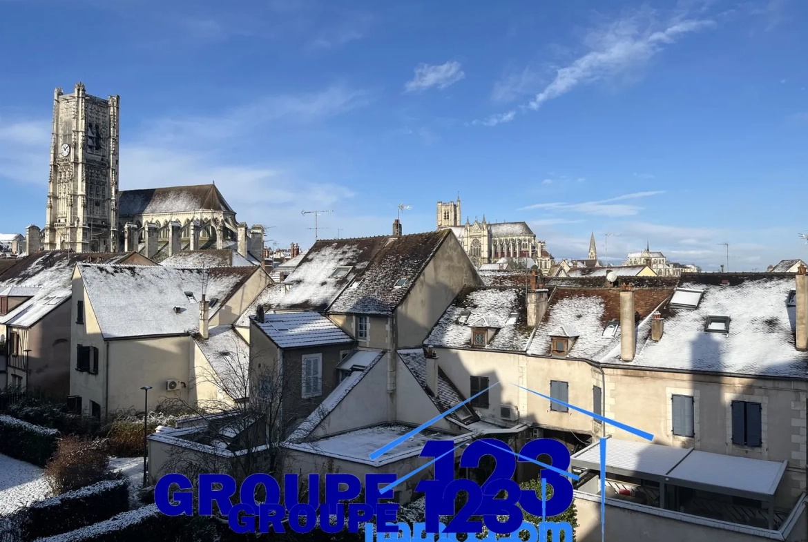Studio lumineux de 32 m² à Auxerre en centre-ville avec cave 