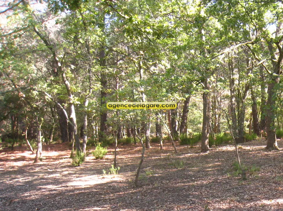 Terrain agricole à vendre à Argeles-sur-Mer, accès direct, sans stationnement autorisé 