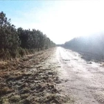 Terrain constructible en forêt à Lacanau – Achat aux enchères à partir de 26 200 €