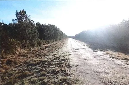 Terrain constructible en forêt à Lacanau – Achat aux enchères à partir de 26 200 € 