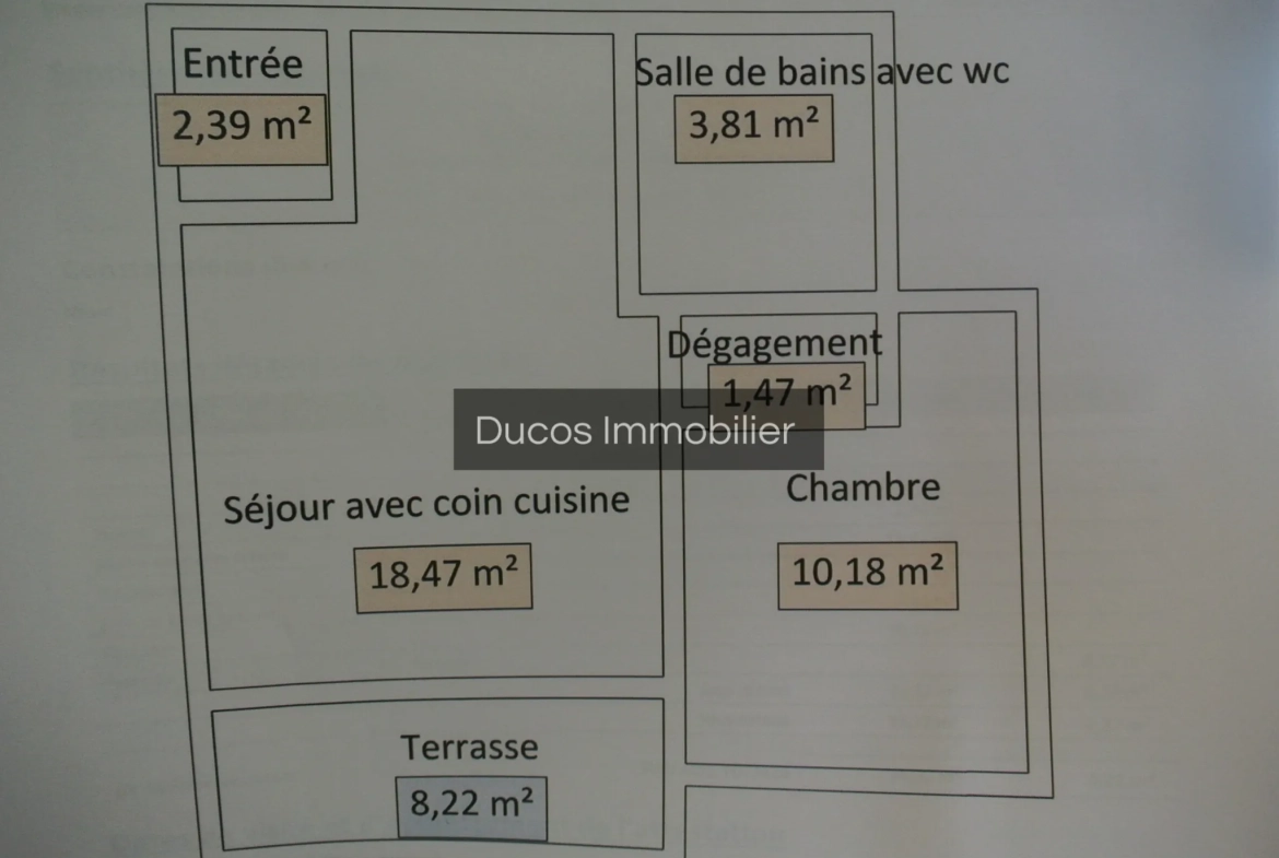 Appartement en rez-de-chaussée avec terrasse et jardin à Marmande 