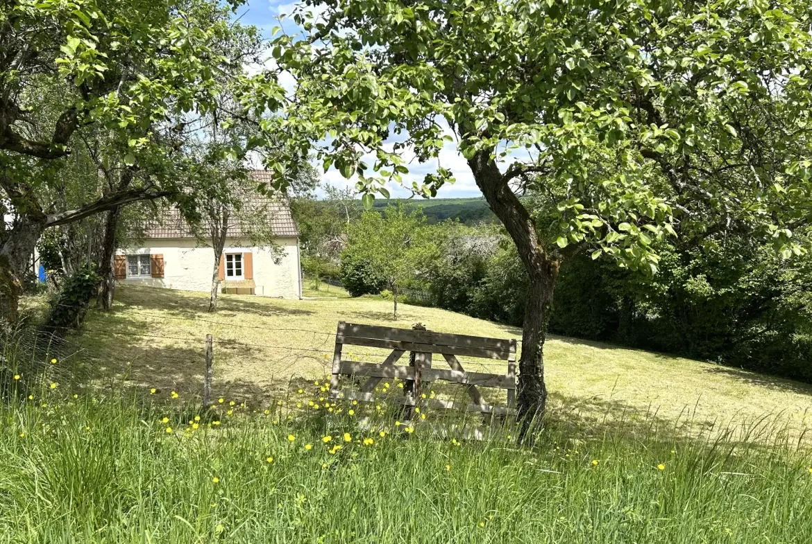 Charmante maison en pierres avec dépendances à Nolay - grand terrain 7061 m² 