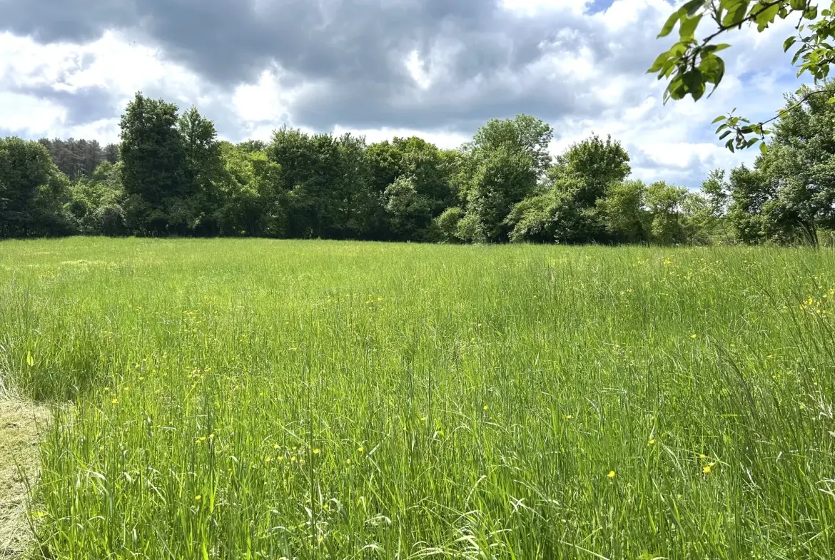 Charmante maison en pierres avec dépendances à Nolay - grand terrain 7061 m² 
