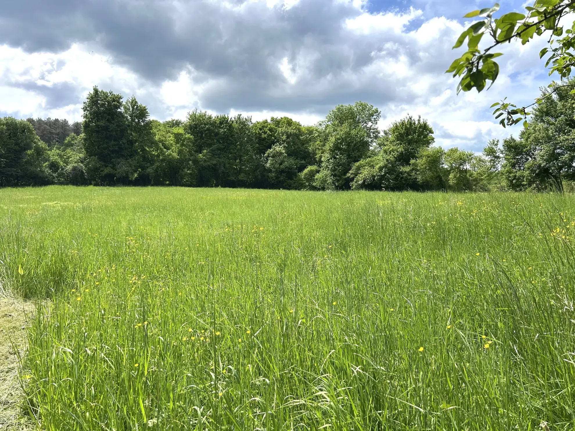 Charmante maison en pierres avec dépendances à Nolay - grand terrain 7061 m² 
